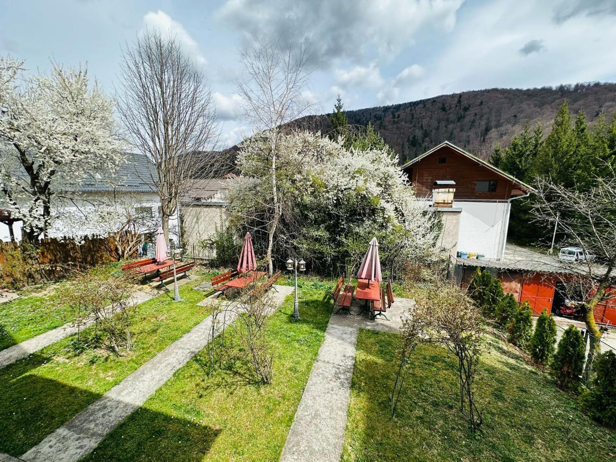 Rapsodia Sinaia Bed & Breakfast Dış mekan fotoğraf