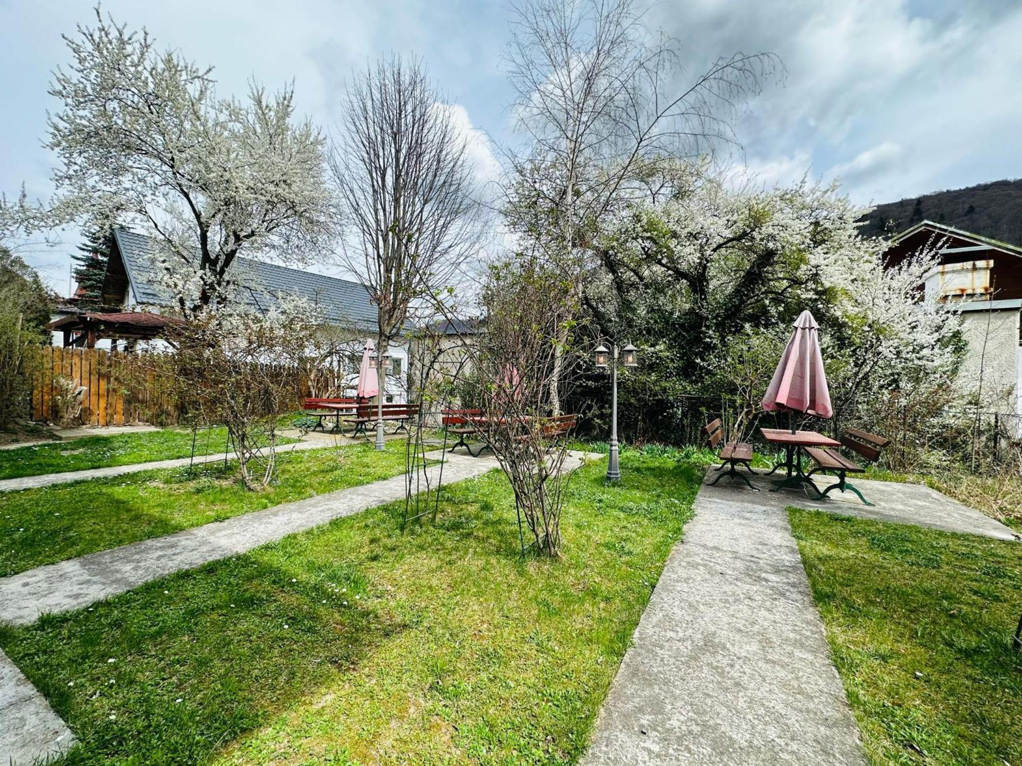 Rapsodia Sinaia Bed & Breakfast Dış mekan fotoğraf