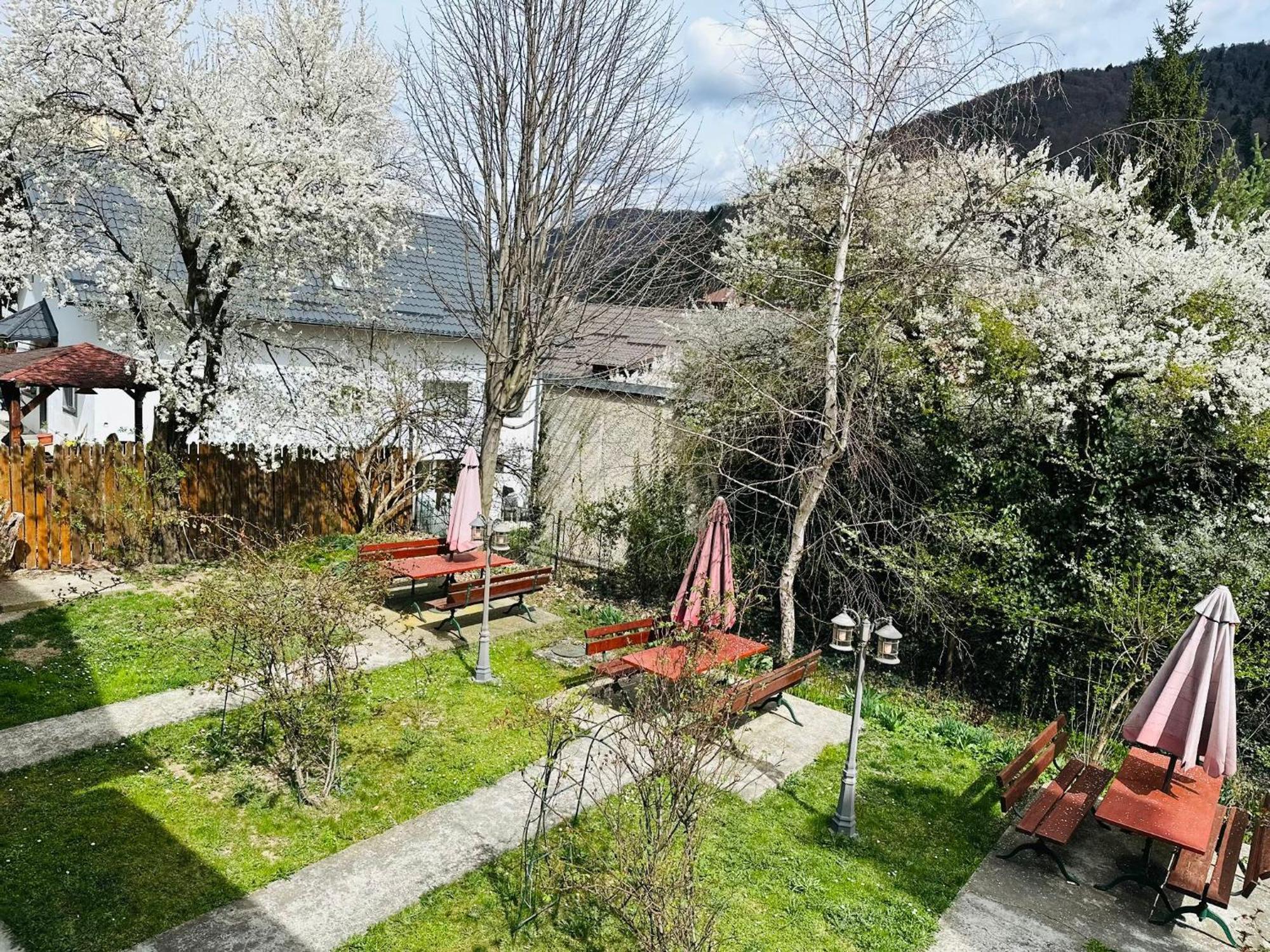 Rapsodia Sinaia Bed & Breakfast Dış mekan fotoğraf